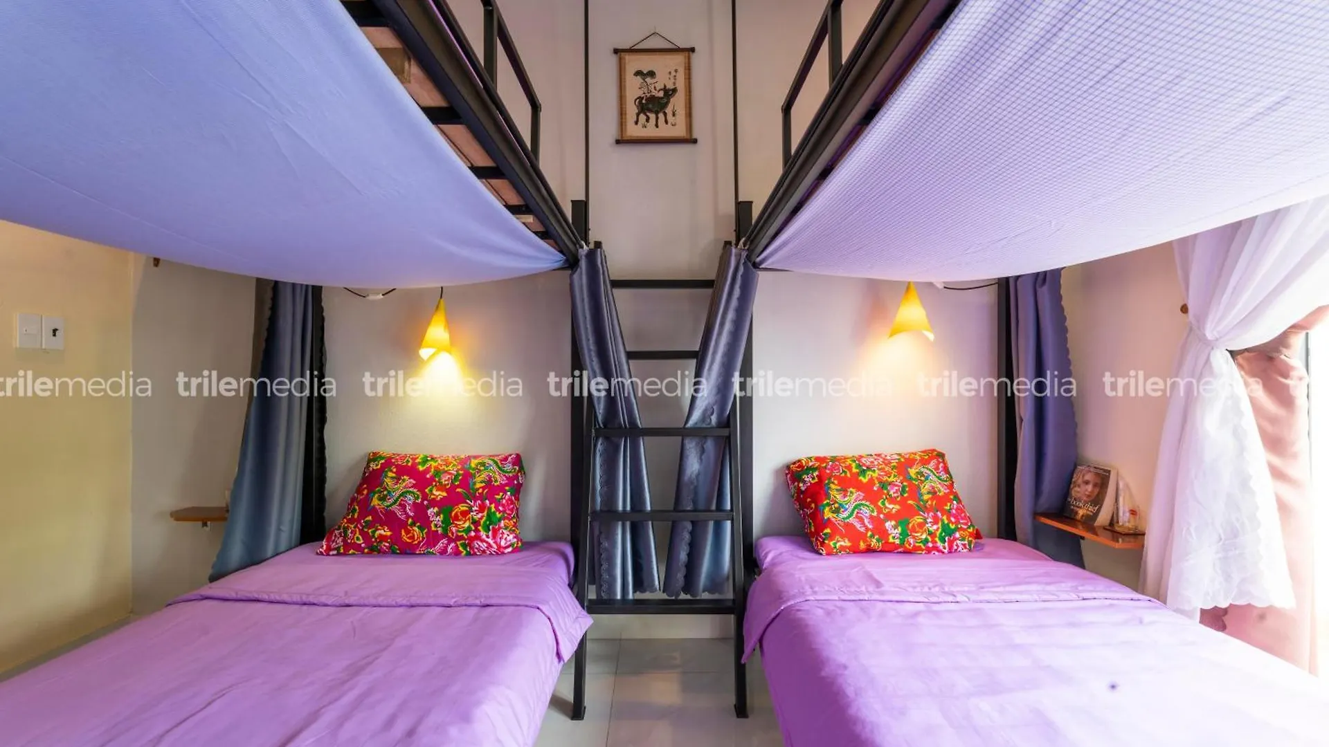 Two Brothers Homestay 会安 0*,  越南